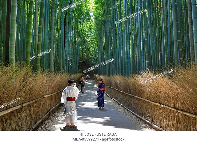 Japan, Kyoto City, Arashiyama Area, Bambu Wood