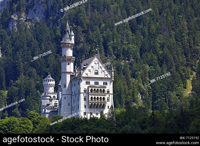 Neuschwanstein Castle, fairytale castle, Schwangau, Königswinkel, romantic road, Füssen, Ostallgäu, Allgäu, Swabia, Bavaria, Germany, Europe