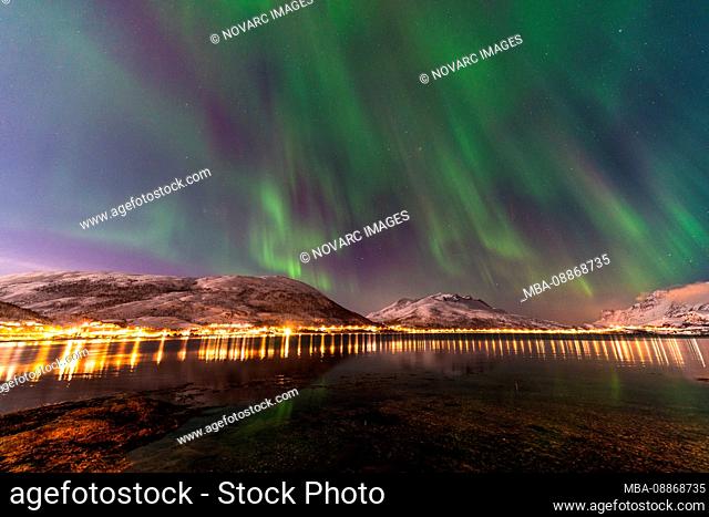 Aurora borealis, Kaldfjord at Kval›ya, Norway