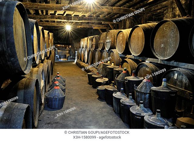 cellar of 17th, Wine growing estate Chateau de Salles d'Armagnac, Gers department, Midi-Pyrenees, southwest of France, Europe
