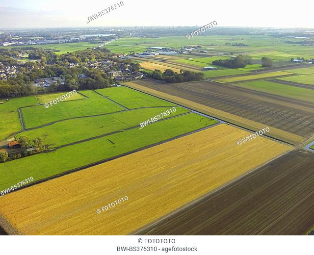 aerial view to typically Dutch cultivated landscape, Netherlands, South Holland, Noordwijk aan Zee