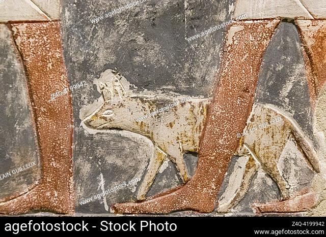Egypt, Saqqara, tomb of Mehu, detail of offering bringers procession : Hyena in leash