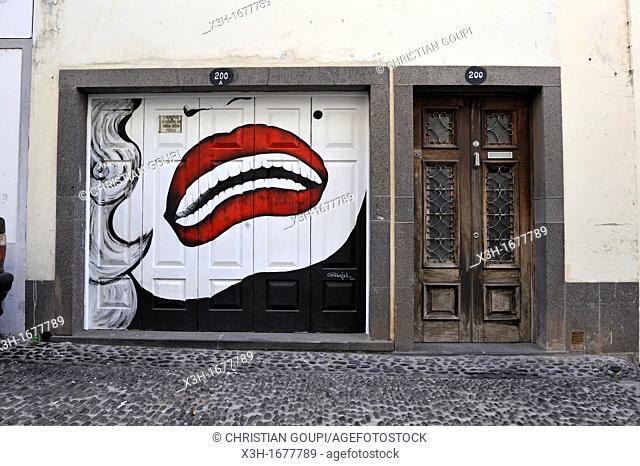painted doors of Santa Maria street in the old town, Funchal, Madeira island, Atlantic Ocean, Portugal