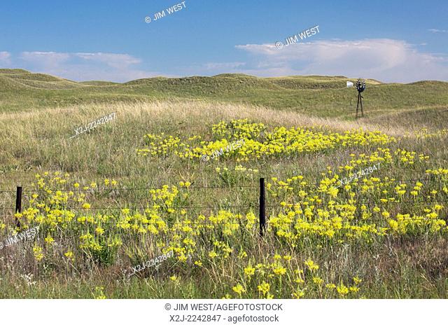 Seneca, Nebraska - A windmill in the Nebraska Sandhills. The sandhills is a prairie region that sits atop the Ogallala Aquifer