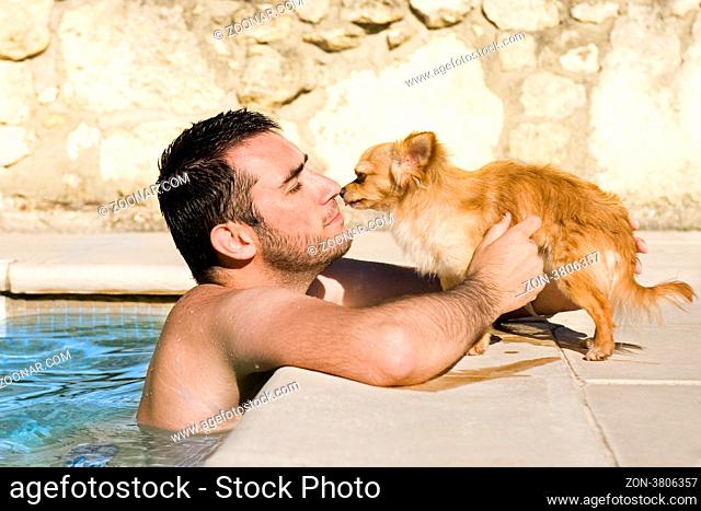 portrait of a cute purebred chihuahua and young man in the swimming pool