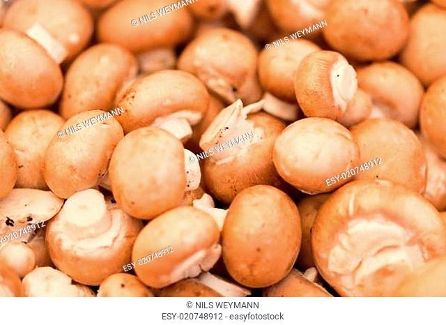 frische gesunde baune champignons auf dem markt