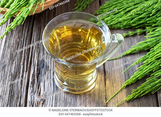 A cup of herbal tea with fresh horsetail twigs