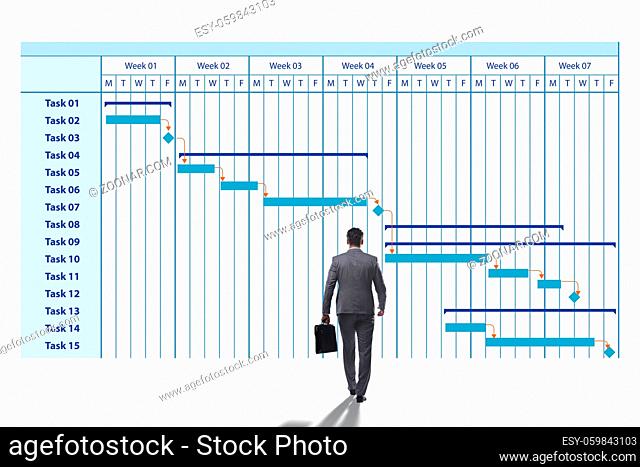 Businessman in the project management concept
