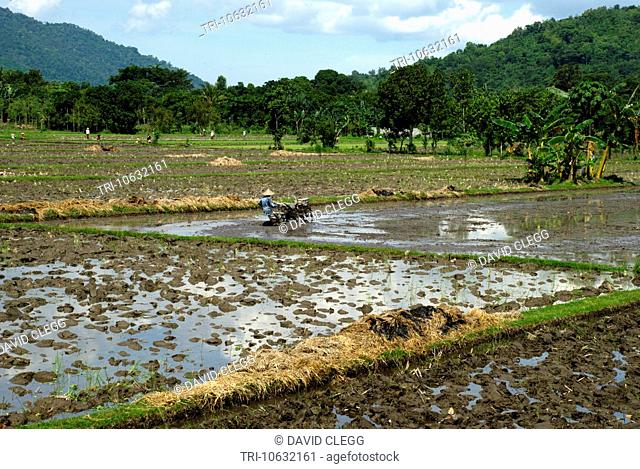 Man in conical woven bamboo hat with mechanical tiller ploughing up wet ricefields with forested hills in the background Gerung Lombok Tengah NTB Indonesia