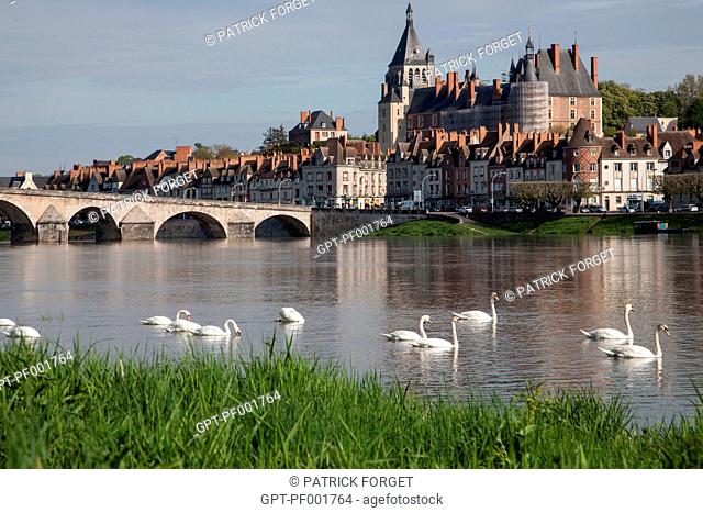 GROUP OF SWANS ON THE LOIRE, THE STONE BRIDGE, TOWN AND CHATEAU, GIEN, LOIRET 45, FRANCE
