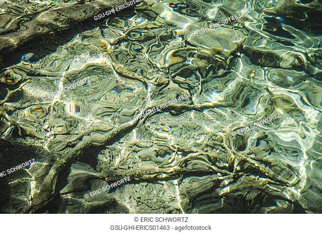 Abstract Water Details, Plitvice Lakes National Park, Croatia