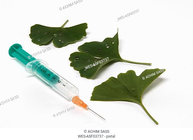 Gingko, Medicinal plant and syringe, close up