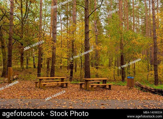 benches and tables for hikers and cyclists in autumn on a leisure trail in autumn, autumn colours