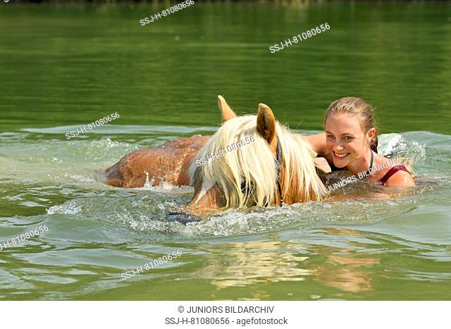 Haflinger Horse. Young woman swimming with her horse in a lake. Germany