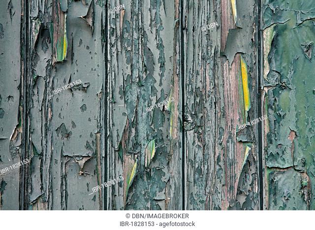 Flaking paint on an old wooden door