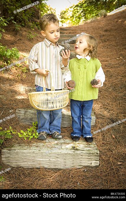 Adorable brother and sister children with basket collecting pine cones outside