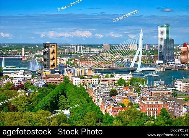 View of Rotterdam city and the Erasmus bridge Erasmusbrug over Nieuwe Maas river from Euromast