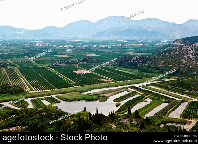Agriculture in the Delta of River near Dubrovnik, Croatia