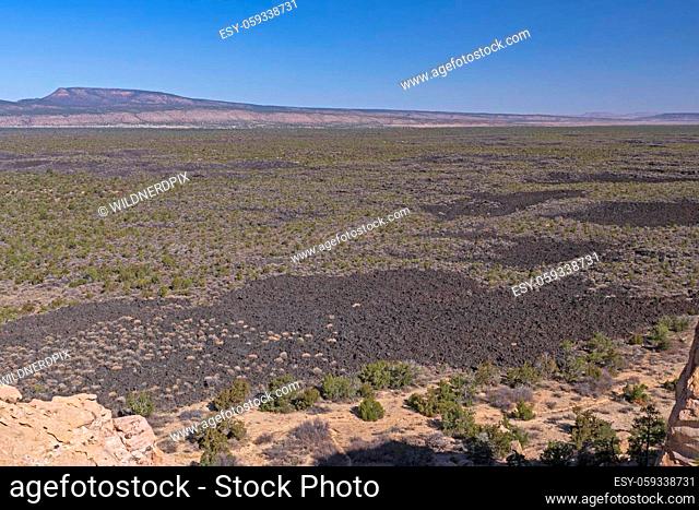 Lava Plain in the Desert at El Malpais National Monument in New Mexico
