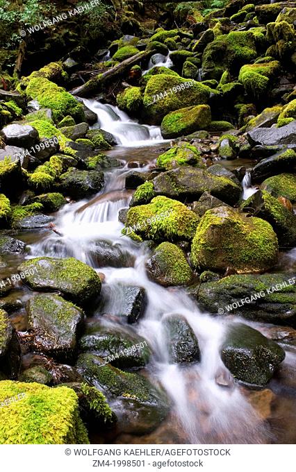 USA, WASHINGTON STATE, OLYMPIC PENINSULA, OLYMPIC NATIONAL PARK, SOL DUC RIVER VALLEY, TEMPORATE RAIN FOREST, CREEK AND MOSSY ROCKS
