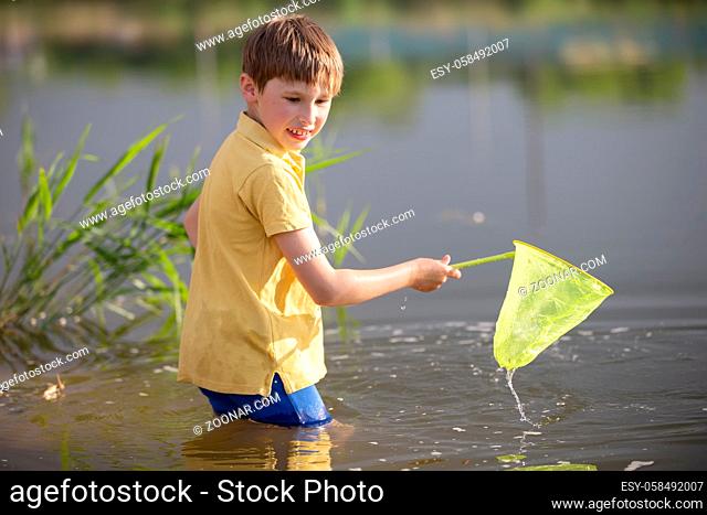 A little boy with a butterfly net catches fry in the lake