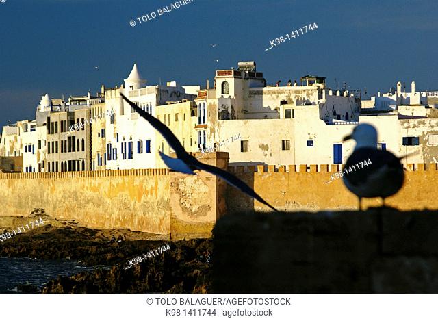 The casbah Skala viewed from the port, Essaouira, mogador, Costa Atlantica, Morocco, North Africa, Africa