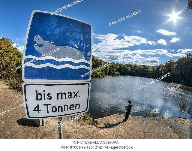 01 October 2018, Hessen, Frankfurt/Main: 01 October 2018, Germany, Frankfurt am Main: A sign designed with humour allows hippos up to four tons to swim in an...