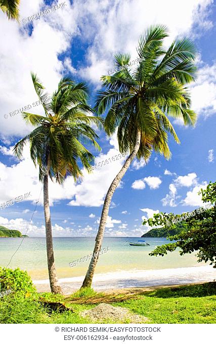 Batteaux Bay, Tobago