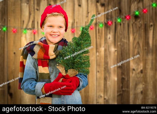 Happy young boy wearing scarf and mittens holding christmas tree on A wood fence background