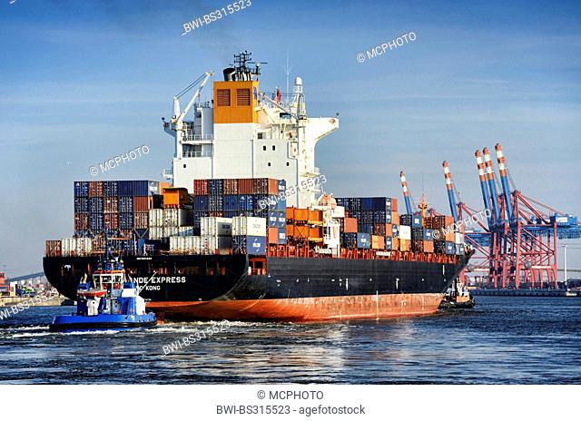 cargo ship Rio Grande Express at the Waltershofer Hafen, Germany, Hamburg