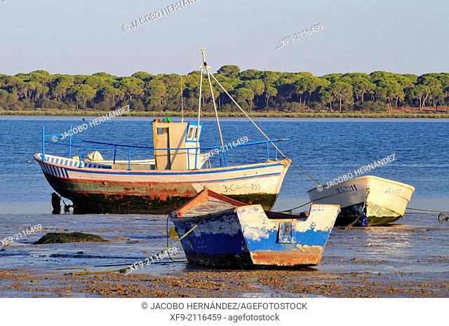 Boats.Guadalquivir river.Bonanza.Sanlúcar de Barrameda.Cádiz province.Andalusia.Spain