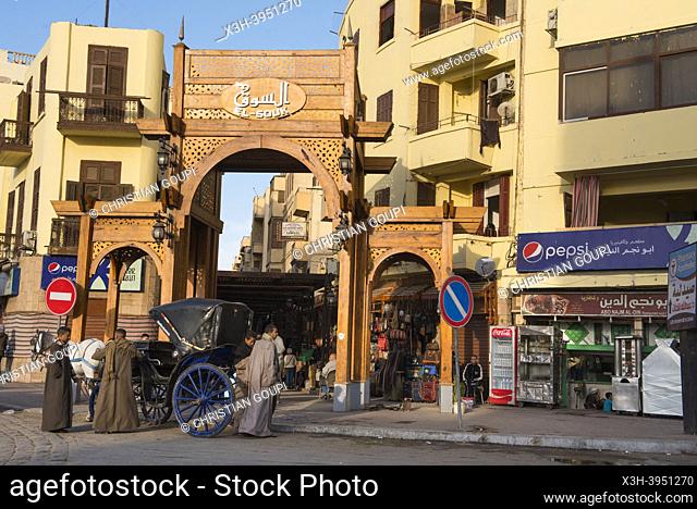 Horse-drawn carriage at the entrance of the souk at Luxor, Egypt, Northeast Africa