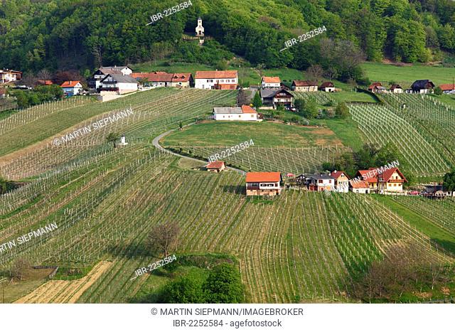 Vineyards near St. Anna am Aigen, Kloecher Wine Route, East Styria, Styria, Austria, Europe