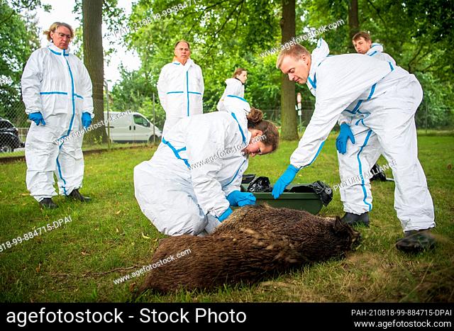 18 August 2021, Lower Saxony, Dörverden: Barbara Otte-Kinast (CDU, l), Minister of Agriculture of Lower Saxony, looks on as participants in a practical exercise...