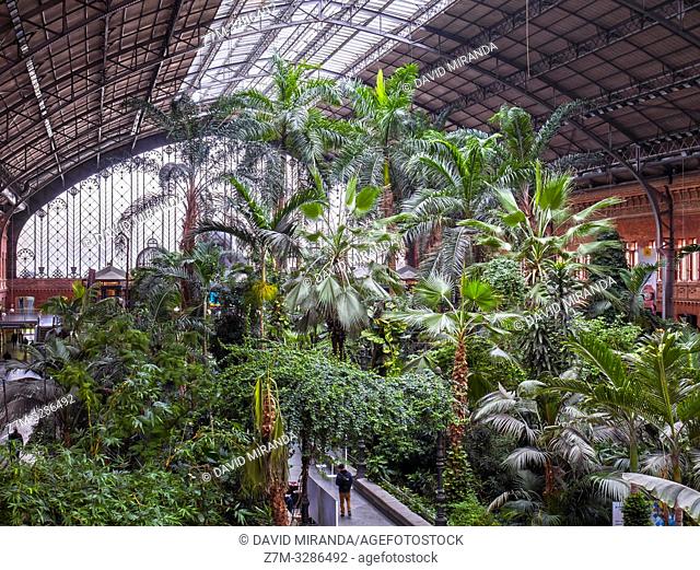 Atocha Station (tropical garden). Madrid. Spain