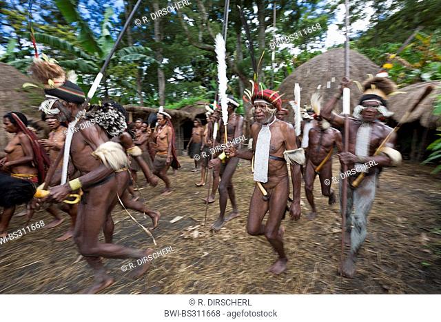 , group of Dani warriors leaving the village for a military expedition, Indonesia, Western New Guinea, Baliem Valley