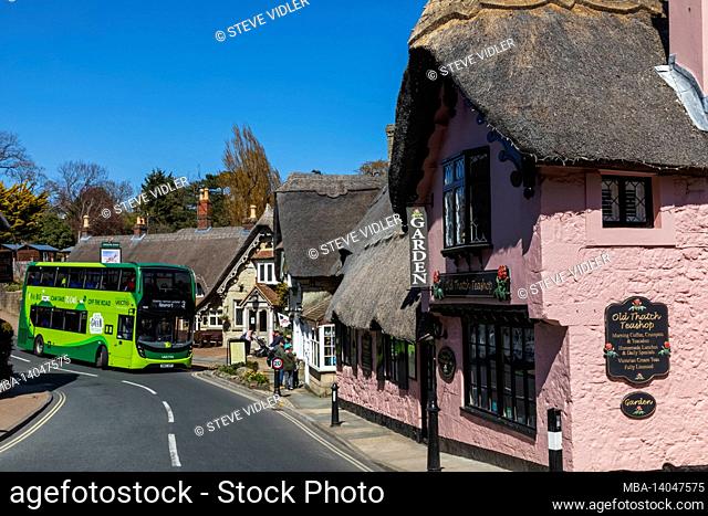 england, isle of wight, shanklin old village, thatched buildings and green bus