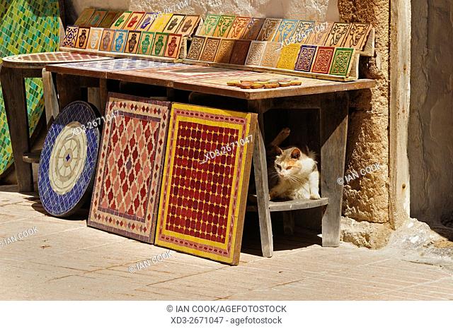 catunder a table, Rue Al Mellah, Medina, Essaouira, Morocco