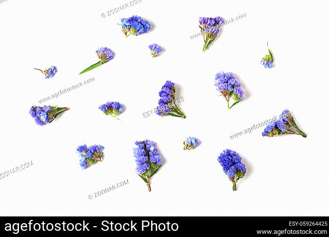 Buds of blue flowers. Mix of individual elements on a white background. Isolated