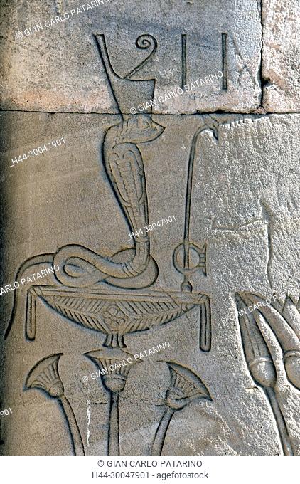 Dendera Egypt, ptolemaic temple dedicated to the goddess Hathor. Carvings on external wall of the mammisi