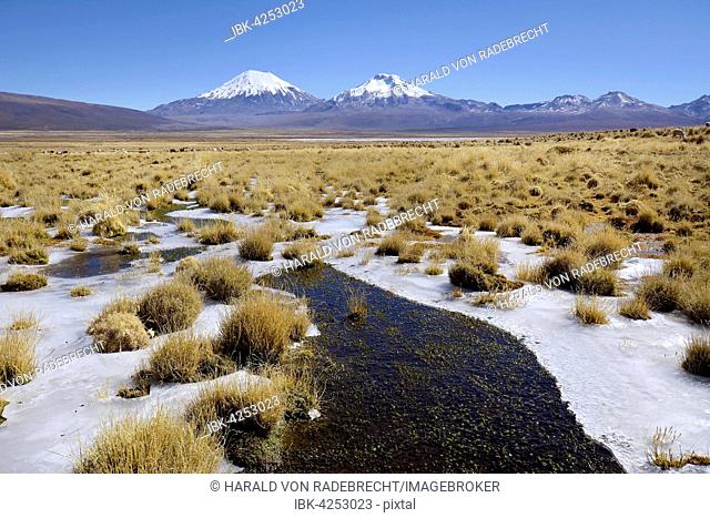Snow-covered volcanoes Pomerape and Parinacota, frozen water, Sajama National Park, border between Bolivia and Chile