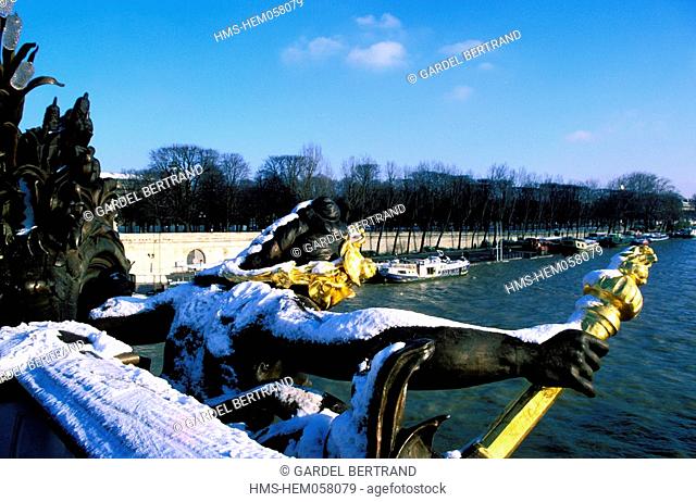 France, Paris, view of Alexandre III bridge in Winter