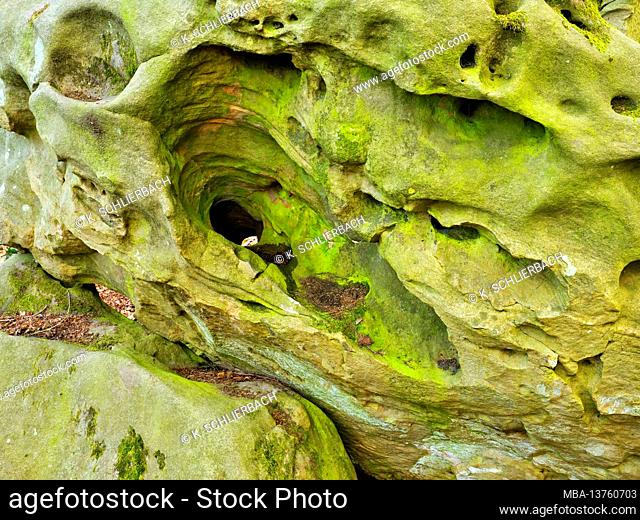 Europe, Germany, Hesse, Vogelsberg Nature Park, Vogelsberg Geopark, Homberg / Ohm, sea of rocks made of tertiary quartzite, detailed view
