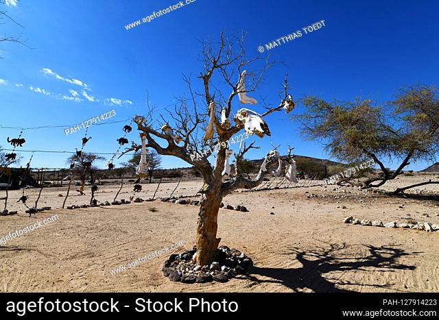 Tree draped with skulls and other animal bones in a Namibian settlement in the Spitzkoppe area, taken on 03.03.2019. The Spitzkoppe region and the surrounding...