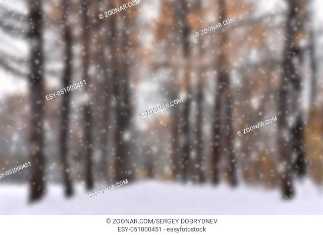 Snow on the linden avenue - blurred background
