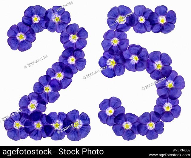 Arabic numeral 25, twenty five, from blue flowers of flax, isolated on white background