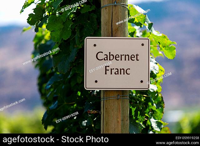 Cabernet Franc wine grape variety sign on wooden pole selective focus, vineyard varieties signs, Okanagan valley wine region British Columbia, Canada