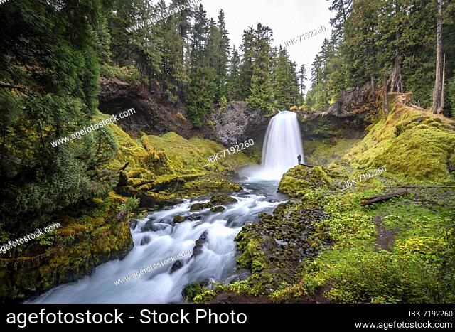 Young man in front of waterfall, long exposure, Sahalie Falls, forest with moss, Oregon, USA, North America