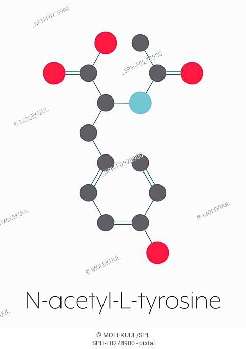 N-acetyl-tyrosine molecule, illustration