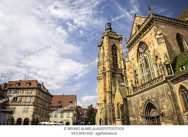 Saint Martin Cathedral of Colmar, Alsace (department of Haut-Rhin, region of Grand Est, France)